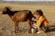 How To Use Goat Milk In Daily Cooking